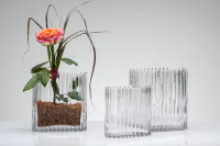 Vase schmal mit Rillen - Sandras SECRET GARDEN