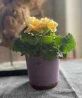 VINTAGE glass flower pot
