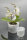 ALABASTER orchid pot