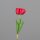 Tulpen Bund x3, 44 cm, red, 24/192