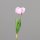 Tulpen Bund x3,  44 cm, rosee, 24/192