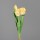 Tulpenbund x 3, 28 cm, yellow-white, 0/0