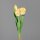 Tulpenbund x 3, 28cm,yellow-white,24/144