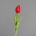 Tulpe, 45 cm, red, 36/360