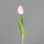 Tulpe, 45 cm, pink, 36/360
