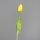 Tulpe, 45 cm, yellow, 36/360