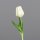 Tulpen Pick PU, 20 cm, cream, 32/256