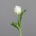 Tulpe PU, 33 cm, cream, 24/192