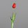 Tulpe PU, 48 cm, red, 24/192