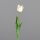 Tulpe PU, 48 cm, cream, 24/192