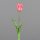 Tulpe PU, 48 cm, rosee, 24/192