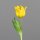 Tulpe PU, 24 cm, yellow, 36/216