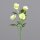 Anemone, 56 cm, yellow, 24/240
