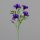 Inker Lilie, 55 cm, lilac, 24/240