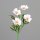Cosmea, 55 cm, white-rosee, 24/192