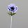 Anemone, 36 cm, blue, 32/256