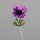 Anemone, 36 cm, fuchsia, 32/256