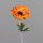 Anemone, 36 cm, orange, 32/256