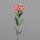 Dianthus, 55 cm, red, 24/144