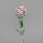 Dianthus, 55 cm, rosee-white, 24/144
