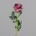 Rose, 70 cm, lilac, 24/144