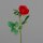 Rose, 66 cm, red, 24/192
