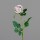 Rose, 66 cm, light-mauve, 24/192