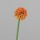 Allium, 56 cm, orange, 24/240