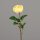 Rose, 63 cm, yellow, 24/144