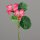 Hibiskus mit zwei Blüten, pink, 24/144
