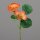 Hibiskus mit zwei Blüten, orange, 24/144