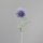 Hamamelis, 60 cm, lavender, 24/192