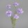 Kornblume, 56 cm, lavender, 24/144