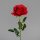 Rose x1, 58 cm, red, 24/240