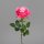 Rose x1, 58 cm, fuchsia, 24/240