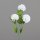 Chrysantheme, 54 cm, cream, 36/288