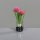 Allium im Glas, 18 cm, pink, 24/192