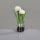 Allium im Glas, white-green, 24/192