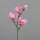 Magnolie, 66 cm, pink, 12/96