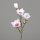 Magnolie, 66 cm, pink-cream, 12/96