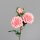 Gartenrose mit 3 Blüten, pink, 24/144