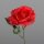 Rose mit offener Blüte, 38 cm,red,48/480