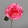 Rose mit offener Blüte, fuchsia, 48/480