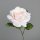 Rose mit offener Blüte, rosee, 48/480