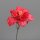 Hibiscus, 33 cm, red, 48/576
