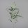 Eukalyptus Zweig, 110 cm, 12/72