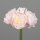 Päonien Bouquet, 26 cm, rosee, 12/96