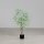 Eukalyptusbaum, 100 cm, 2/6