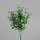 Eukalyptus Pick, 38 cm, green, 24/144
