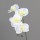 Orchidee, 43 cm, cream, 36/288
